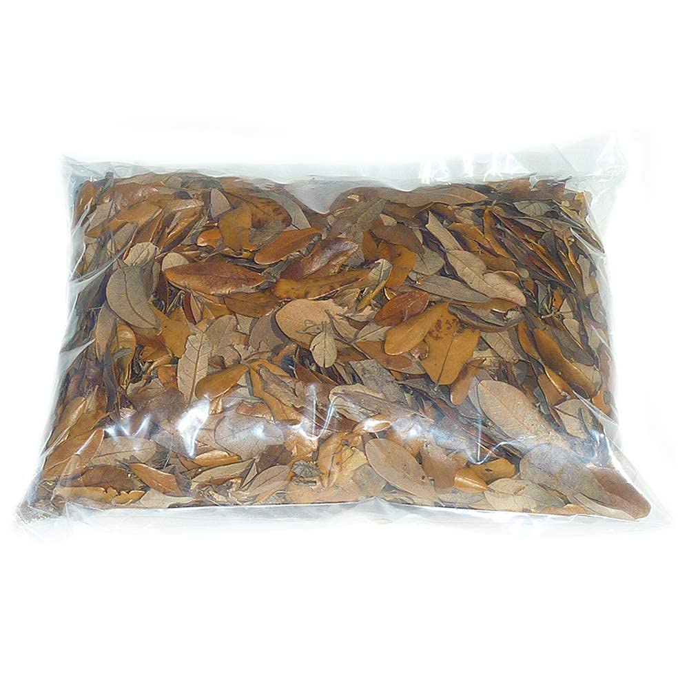 XYZReptiles Premium Live Oak Leaf Litter Isopod Substrate Terrarium Bedding (1 Gallon)